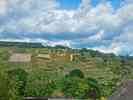 Blick in die Weinberge